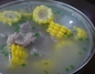四海香风味川菜馆中山西路店